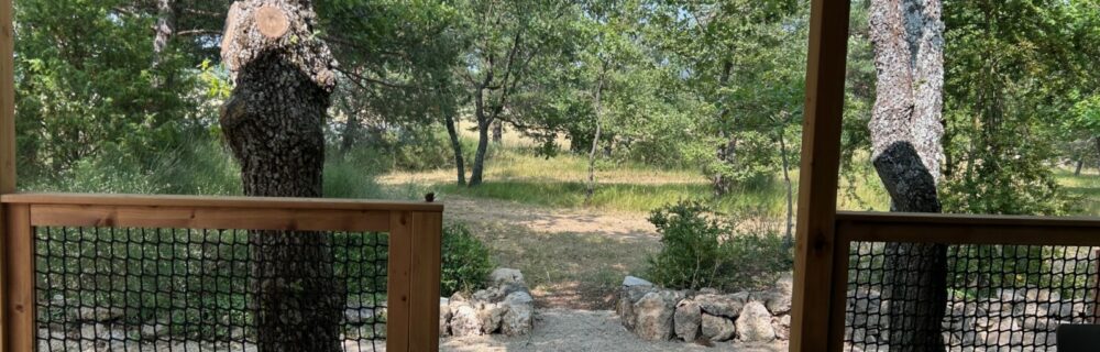 image13(1)